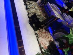 -加餐海鲜自助(宝龙一城店)