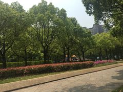 -新江湾城公园