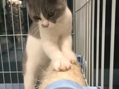 -猫的天空之城概念书店(北戴河蔚蓝海岸店)