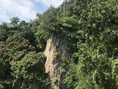 -北京鹫峰国家森林公园