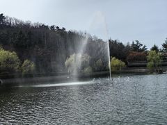 -北岭山森林公园