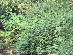 -金谷域澳洲庄园