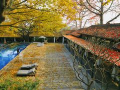 -喜洲吧·江畔老船厂·庭院餐厅(喜临院店)