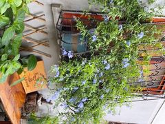 -又至园精品咖啡馆(将军塘店)