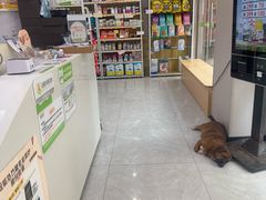 -瑞鹏宠物医院·超声·骨科·奇麟分院(蜀都万达店)