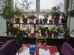 -北京龙庆四季香农家饭庄·灶台鱼·碳烤虹鳟鱼(龙庆峡店)