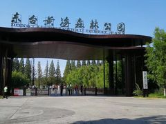 -黄海国家森林公园