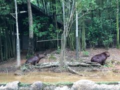 -河川生态园