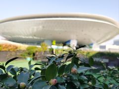 -世博源公馆·本帮融合菜·主题包厢·江景餐厅
