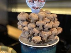 -捞王锅物料理(金城路店)