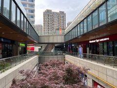 -盲行盲人推拿·采耳·艾灸(滨江宝龙店)