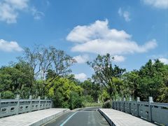 -三垟湿地