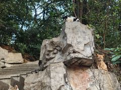 -广州市白云山风景名胜区