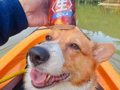 -广州市流溪河国家森林公园