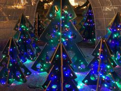 -龙环葡韵住宅式博物馆