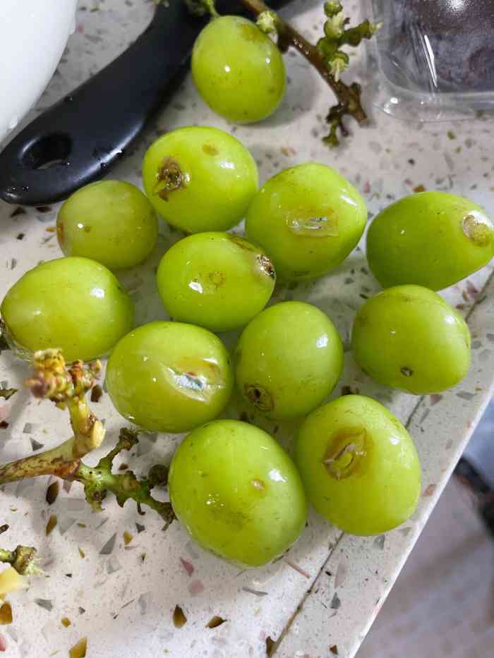 打分 很不愉快的购物体验,买了一盒葡萄坏这么多个,稍微能吃的葡萄