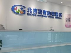 -北京观赏动物医院·24小时大型综合·猫专科·异宠专科