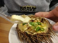 -海胆小馆(东北水饺·春柳店)