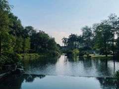 -云溪植物园
