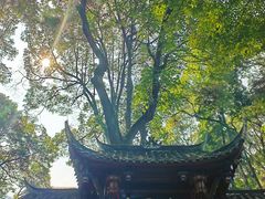 -青城山
