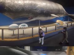 -海合安青岛极地海洋公园