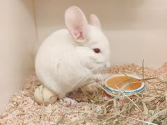 -龙猫仔乐园(惠福东路店)