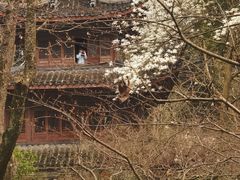 -虎跑公园