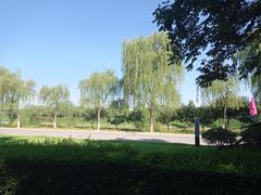 -洨河生态公园