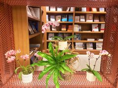 -二酉书店TOYOU BOOKS