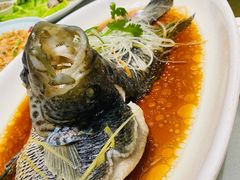 -骏莱海鲜鱼港(五角场店)
