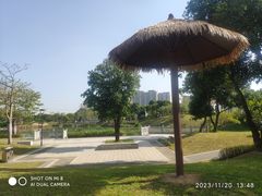 -王借岗森林公园