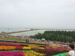 庐州太太(双岗店)-庐州太太(双岗店)