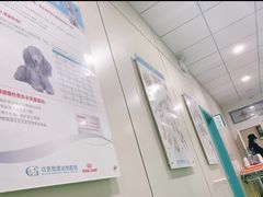 -北京观赏动物医院·24小时大型综合·猫专科·异宠专科
