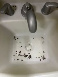 -孩子王童乐园(天津远洋乐堤港店)