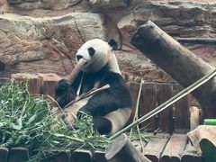 -石家庄市动物园