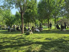 -爪吧宠物乐园 (温榆河示范区店)