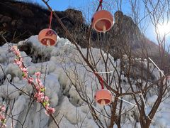 -黑龙潭风景区