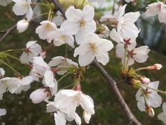 -3W咖啡(国家软件园店)