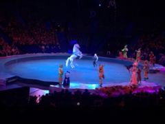 -珠海横琴长隆《卡卡虎奇遇记》