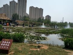-前关湿地公园