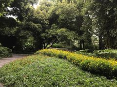 -成都市活水公园