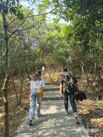 夏日来爬山 建议带个小风扇 因为又累又热 深圳的山还