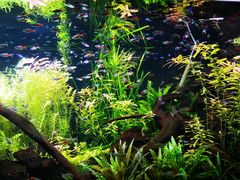 -上海海洋水族馆