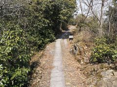 -午潮山国家森林公园