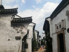 -真真老老(月河花鸟市场店)
