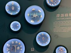 -中国湿地博物馆