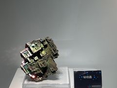 -中国地质博物馆