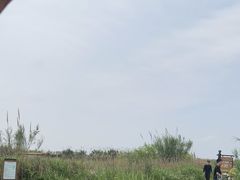 -宁波杭州湾国家湿地公园
