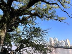 -江心屿景区