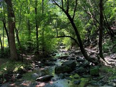 -黑龙江省森林植物园